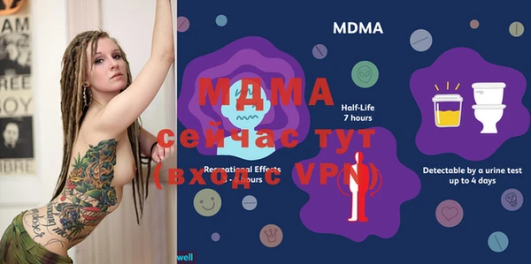 молекула духа Михайлов
