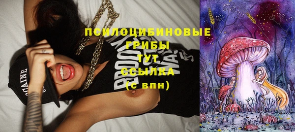прущие крисы Абинск