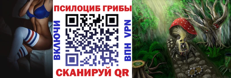 Псилоцибиновые грибы Magic Shrooms  Электроугли 